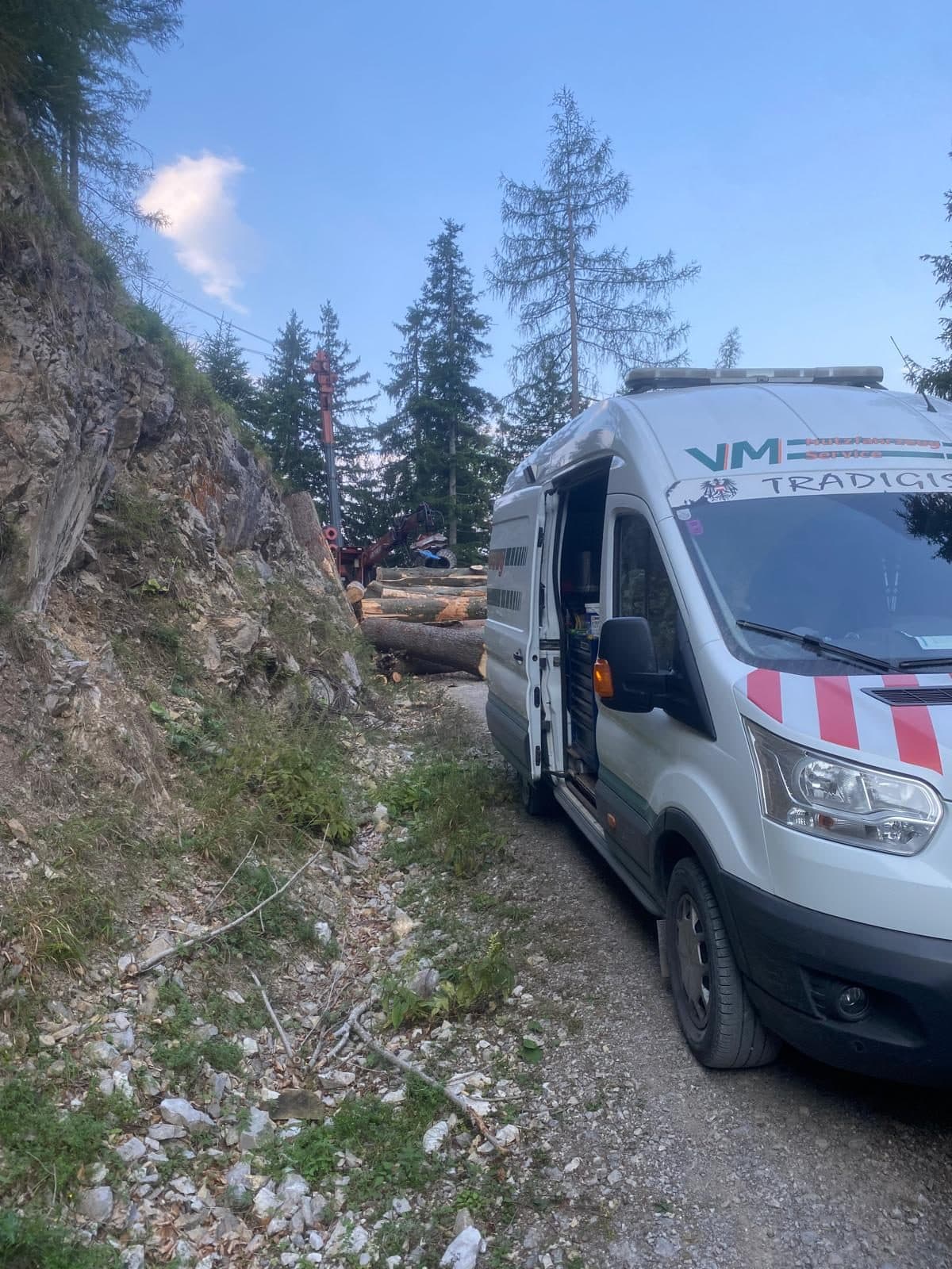 Serviceauto mit geöffneter Seitentür im Wald neben Holzstapel